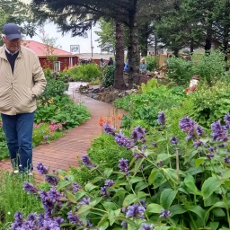 island rundreise 2025_35_